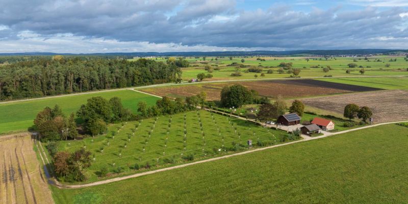Farmland returns through land appreciation and crop income