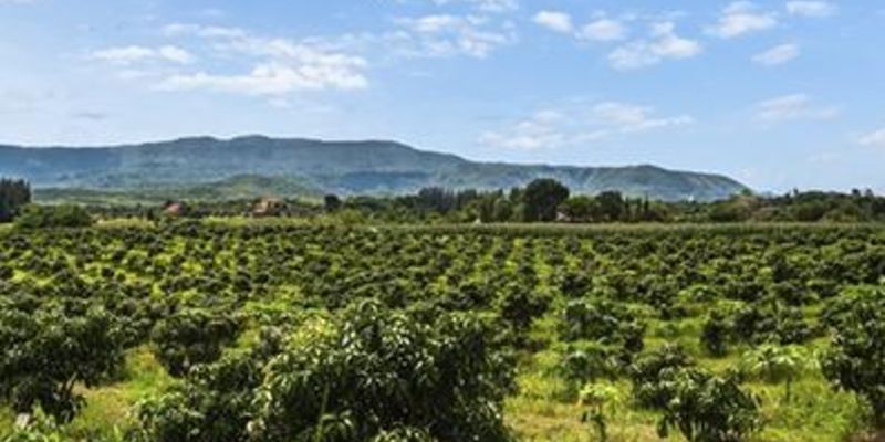 Farmland inflation protection and rising land value