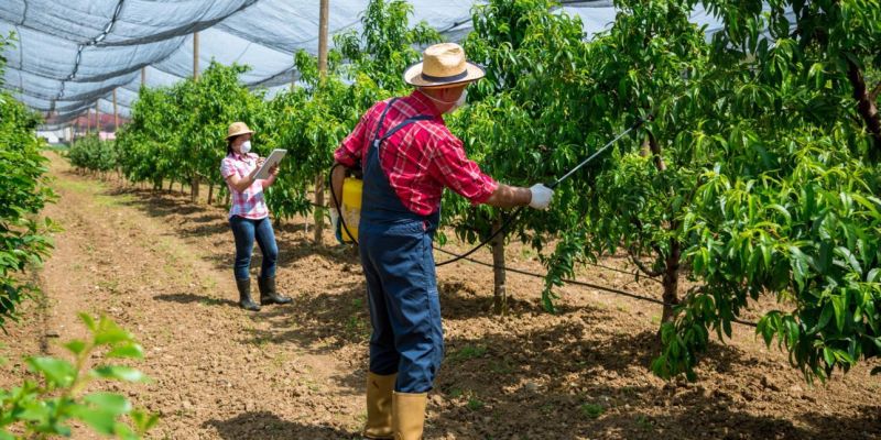 Managing agricultural risks in farmland investment