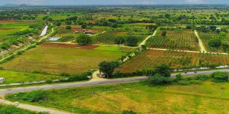 Calculating ROI for farmland versus traditional investments