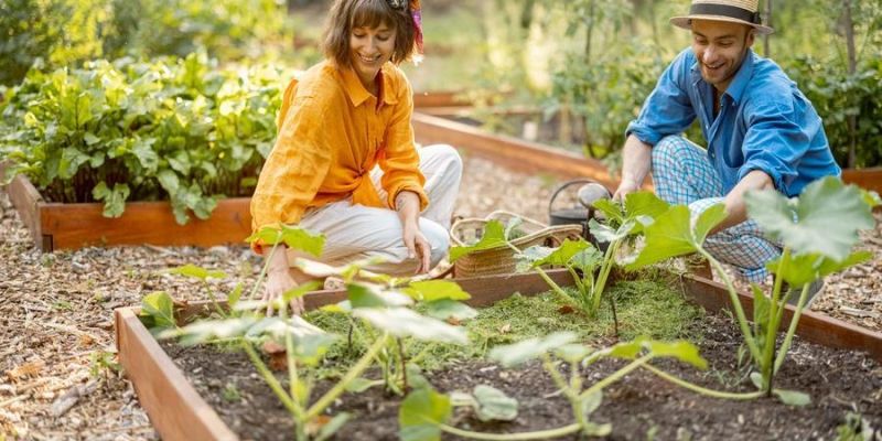 Agri-tourism farm stay experience near Bangalore