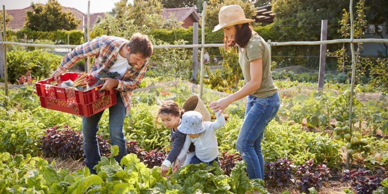 Wellness benefits of nature-based living at a farm retreat